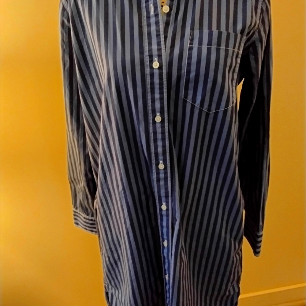 Everlane shirt dress